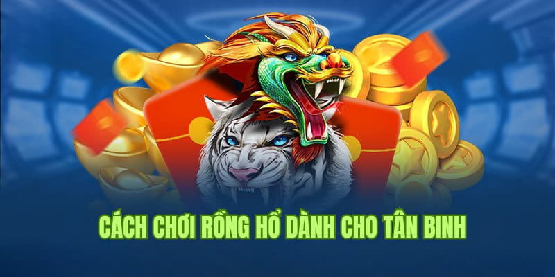 Luật chơi Rồng Hổ dễ hiểu cho các thành viên